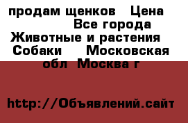 продам щенков › Цена ­ 15 000 - Все города Животные и растения » Собаки   . Московская обл.,Москва г.